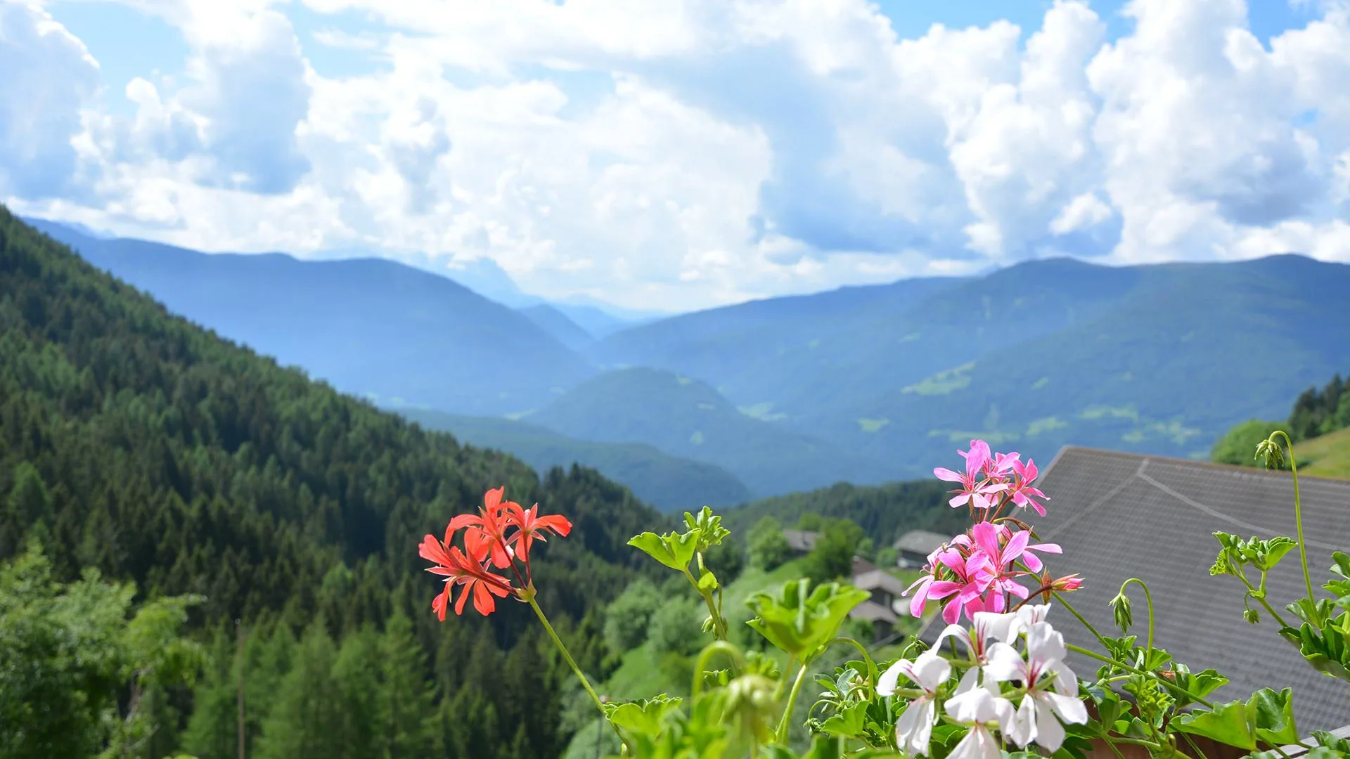 Sommerlandschaft rund um den Kindlerhof